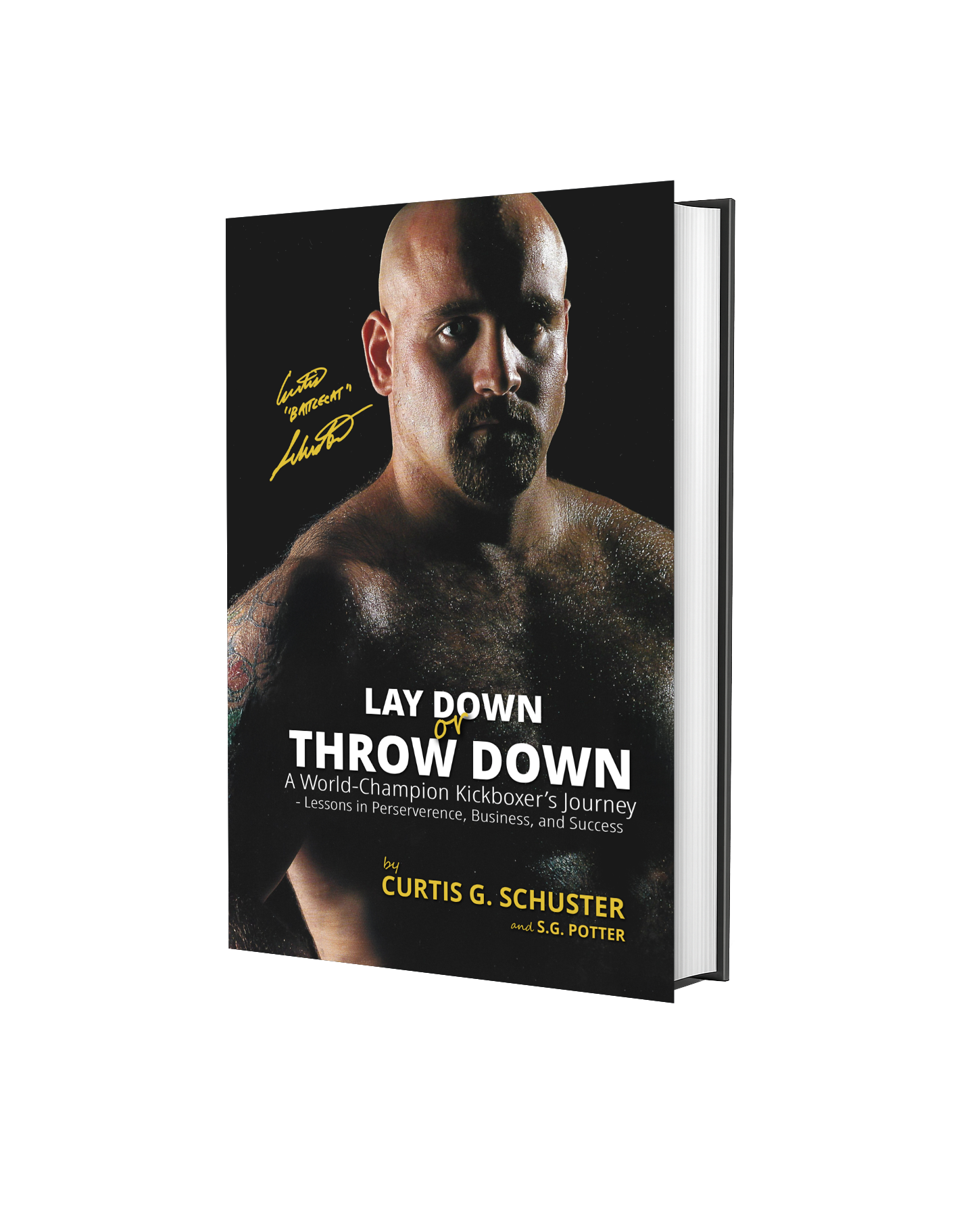 Book - Lay Down or Throw Down by Curtis Schuster